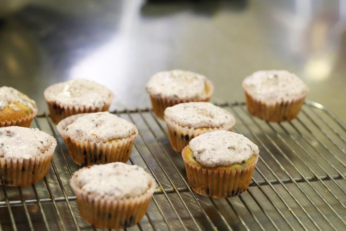 GomezI_cupcakewars0698
